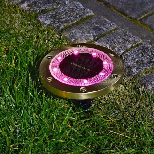 Metal disc pathway light staked in the ground with the pink light.