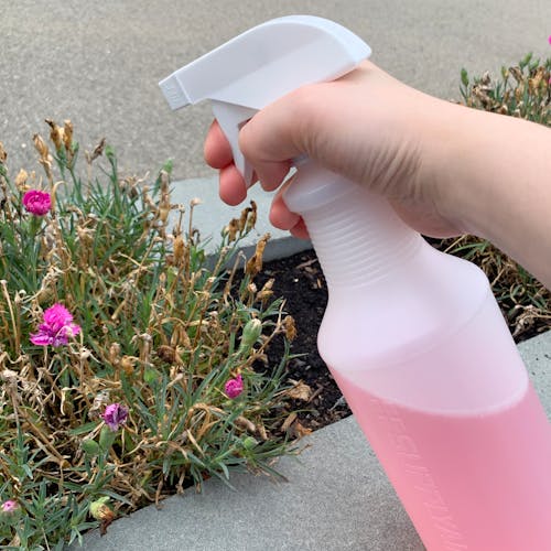 Person spraying plants with the plastic spray bottle.