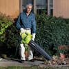 SBJ604E-RM Sun Joe Electric leaf blower