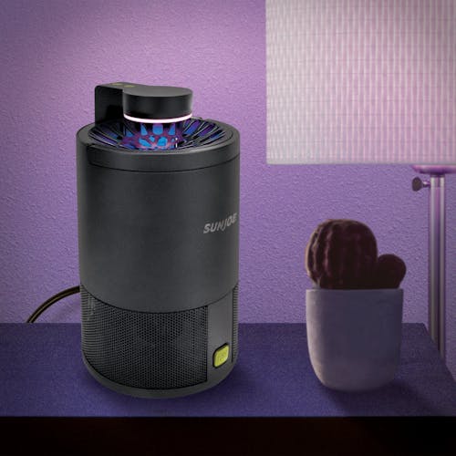 Sun Joe black non-toxic UV Indoor Insect Trap on a side table next to a cactus with the UV light creating a purple hue around it.
