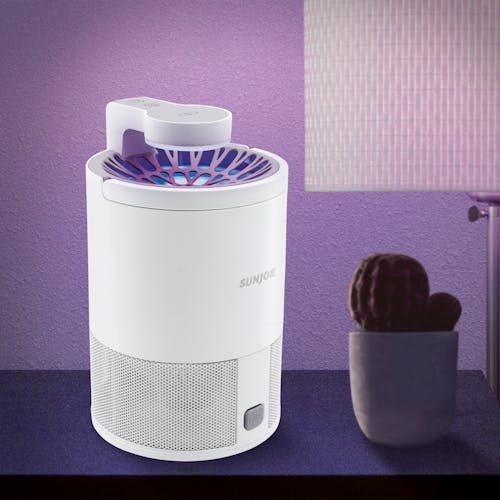 Sun Joe white non-toxic UV Indoor Insect Trap on a side table next to a cactus with the UV light creating a purple hue around it.