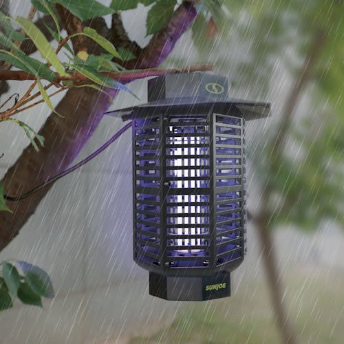 Sun Joe 18-Watt UV Indoor and Outdoor Bug Zapper hanging from a branch outside while it's raining.