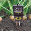 Sun Joe 3-in-1 Soil Meter with Moisture, pH, and Light Meter in soil with plants behind it.