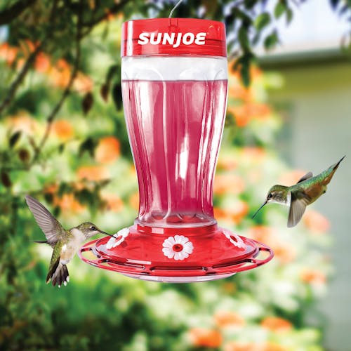 Sun Joe 40-ounce Wild Humming Bird Buffet Glass Feeder hanging from a tree with 2 humming birds feeding from it.