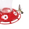 Close-up of a humming bird feeding from the Sun Joe 40-ounce Wild Humming Bird Buffet Glass Feeder