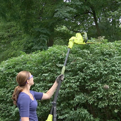 Sun Joe 4.5-amp 19-inch Multi-Angle Telescoping Convertible Electric Pole Hedge Trimmer being used to trim a large bush.
