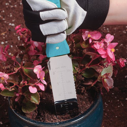 Sun Joe 7.25-inch Blue Wood Hori-Hori Landscaping Digging Tool being used to dig into the soil of a potted plant.