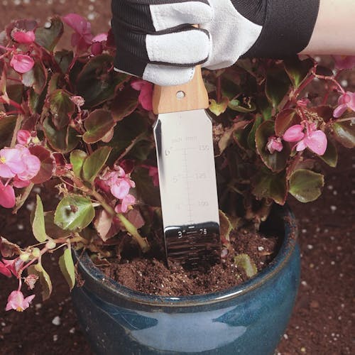 Sun Joe 7.25-inch Natural Wood Hori-Hori Landscaping Digging Tool being used to dig into the soil of a potted plant.
