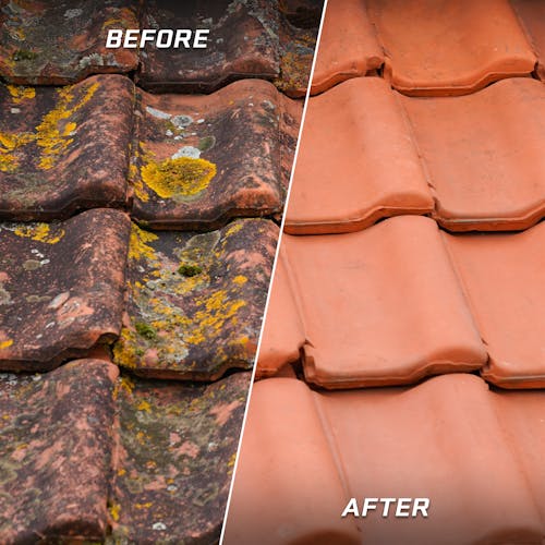 Before and After pcitures of cleaned roof