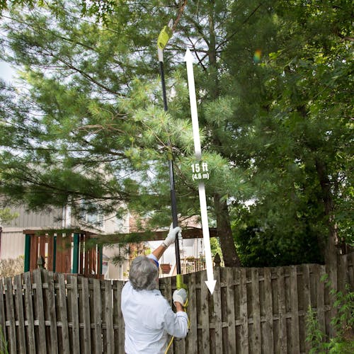 Person reaching high with the Sun Joe 6.5-amp 8-inch Electric Multi-Angle Pole Chain Saw to a cut branches.