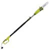 Side view of the Sun Joe 8-amp 10-inch Electric Multi-Angle Pole Chain Saw.