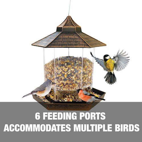 6 deeding ports accommodates multiple birds.
