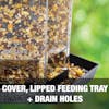 Cover, lipped feeding tray, and drain holes.