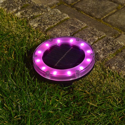 Plastic Disc Pathway Light staked in the ground with the pink light.