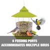 6 feeding ports accommodates multiple birds.