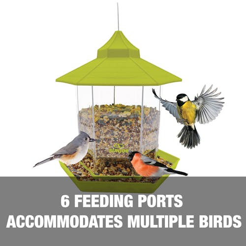 6 feeding ports accommodates multiple birds.