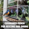 Cushioned perch for resting and dining.