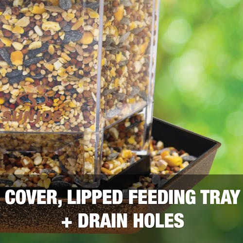 Cover, lipped feeding tray, and drain holes.