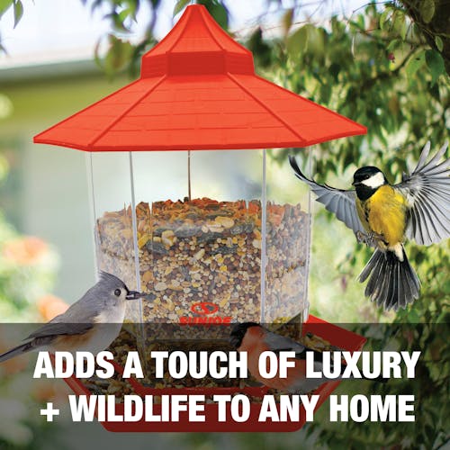 Adds a touch of luxury and wildlife to any home.