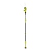 Sun Joe 24-volt 10-inch telescoping pole chainsaw.