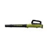 Sun Joe 24-volt cordless turbine leaf blower.